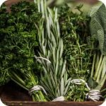 A blend of fresh green leaves and fragrant herbs, symbolising their soothing, purifying, and revitalising properties