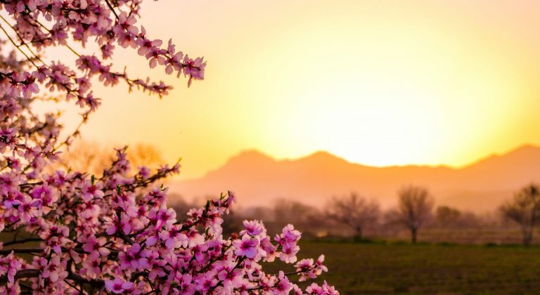 Sunrise in the distance